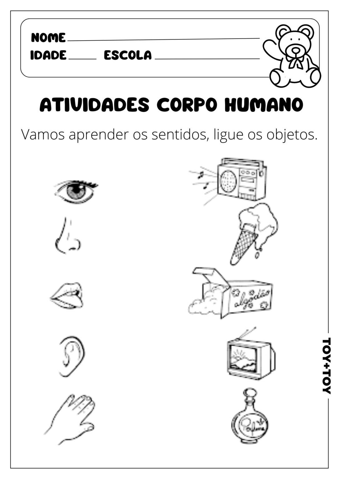 Atividades Corpo Humano Toy Toy