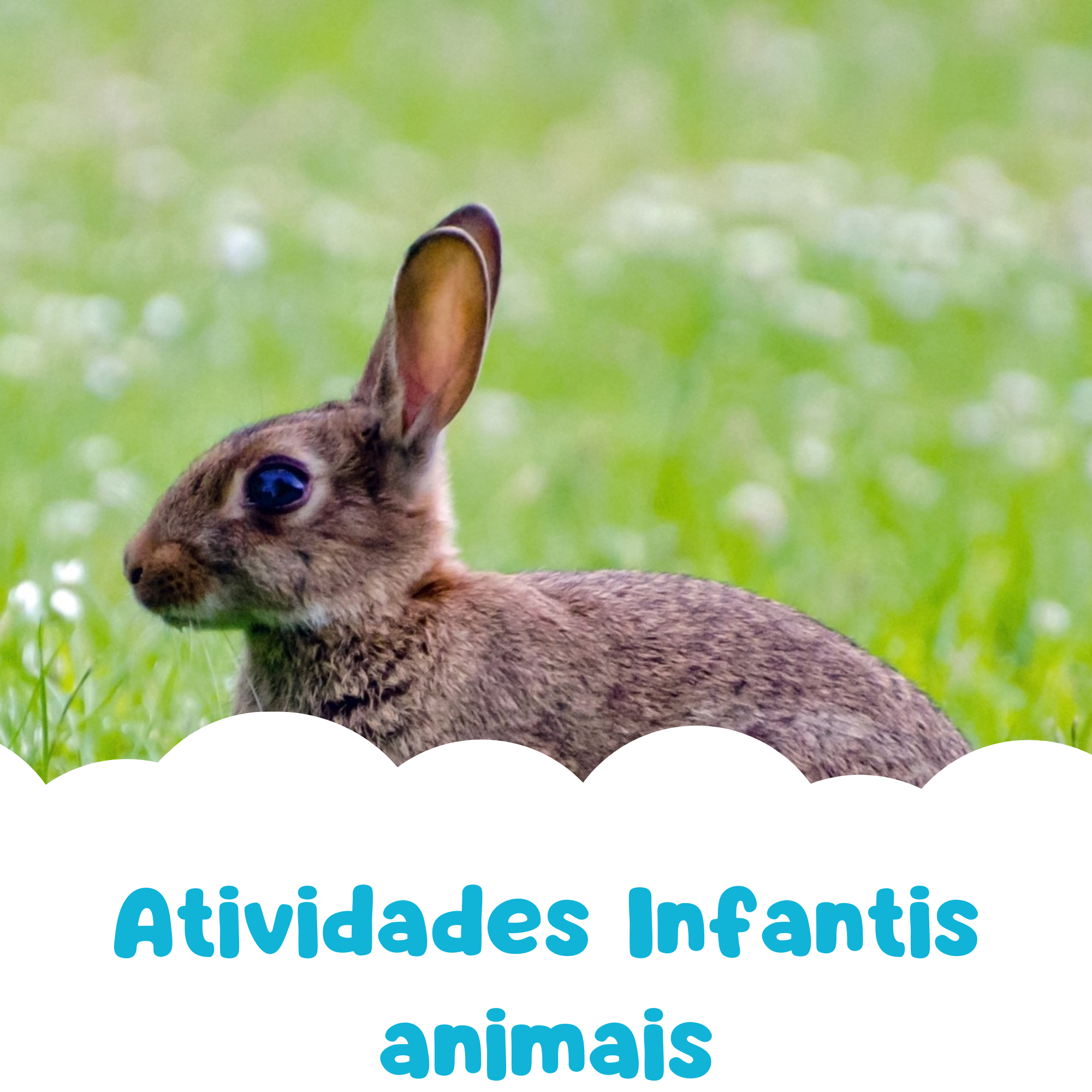 atividades animais